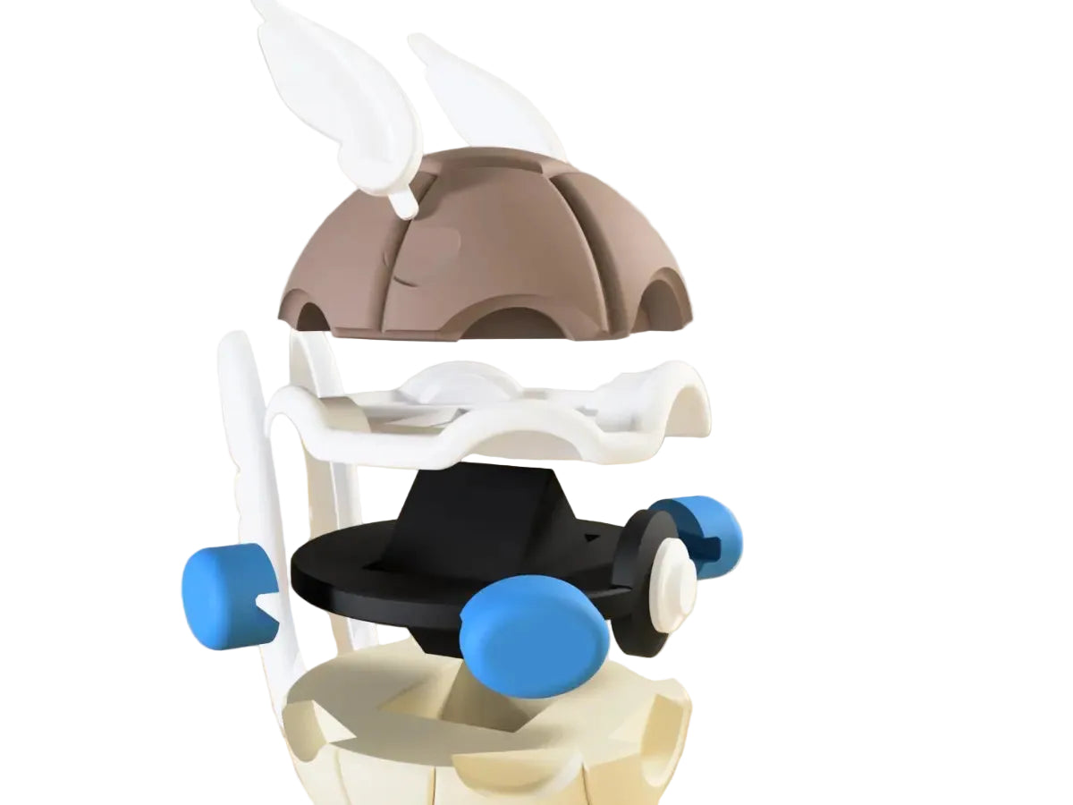 Pokébola Wartortle #0008 – Edición Coleccionista 3D